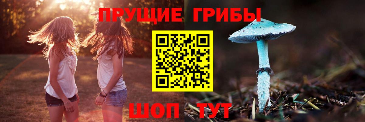 Асино  Псилоцибиновые грибы прущие грибы  Вход с VPN 